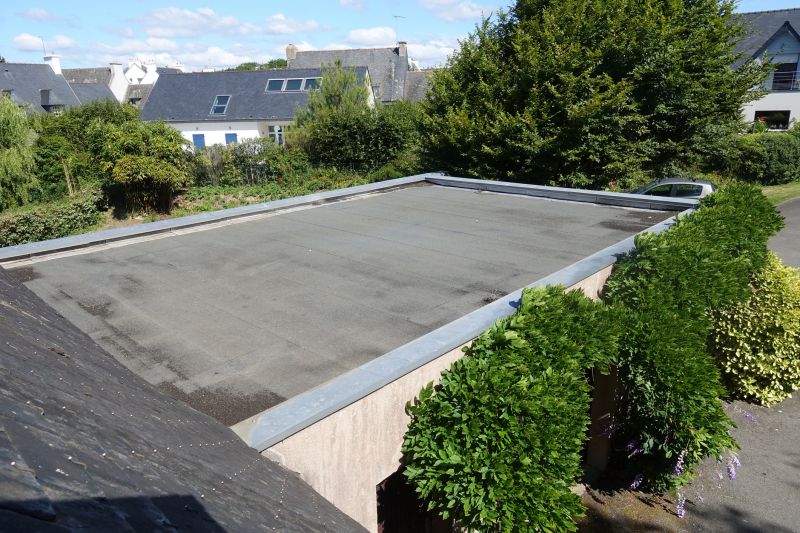 Asphalt Roof Leak Repair